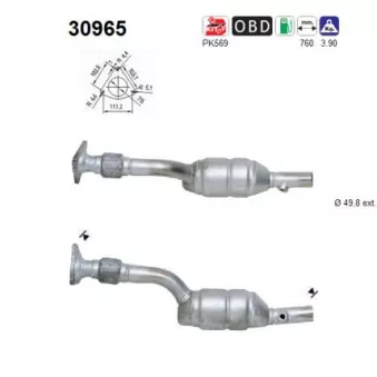 Catalyseur AS 30965