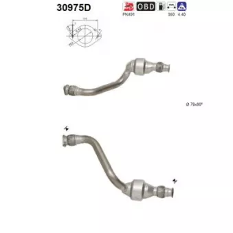 Catalyseur AS 30975D