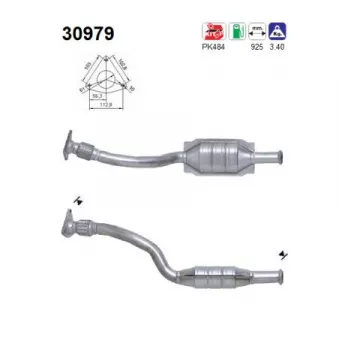 Catalyseur AS 30979
