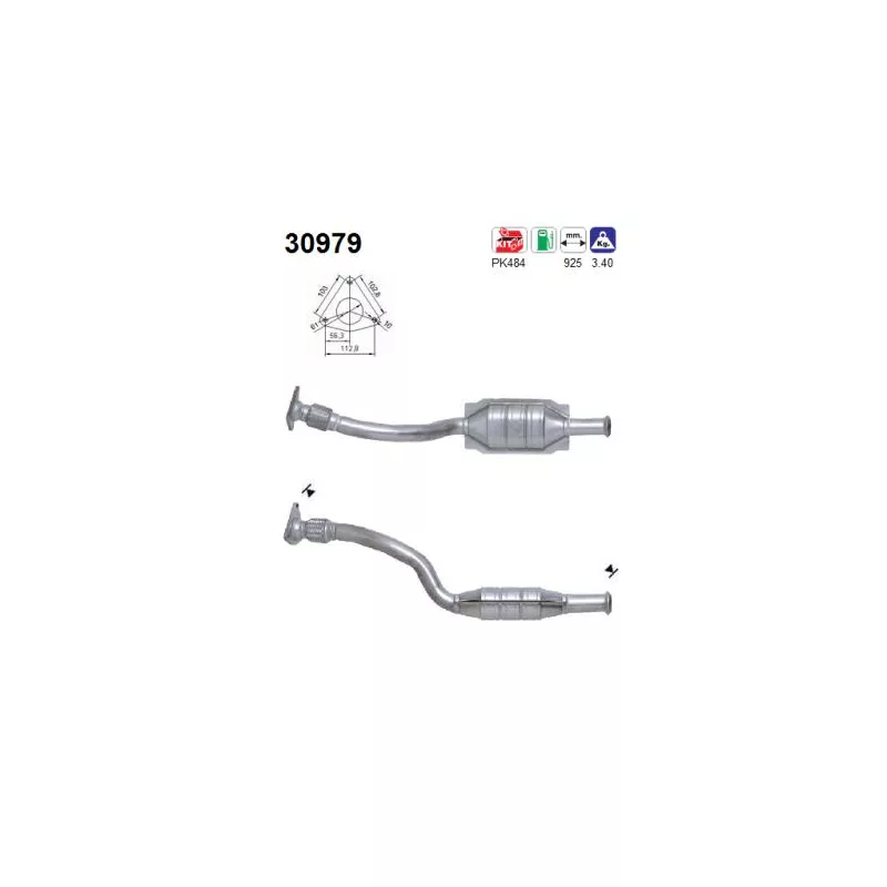 Catalyseur AS 30979