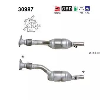 Catalyseur AS 30987