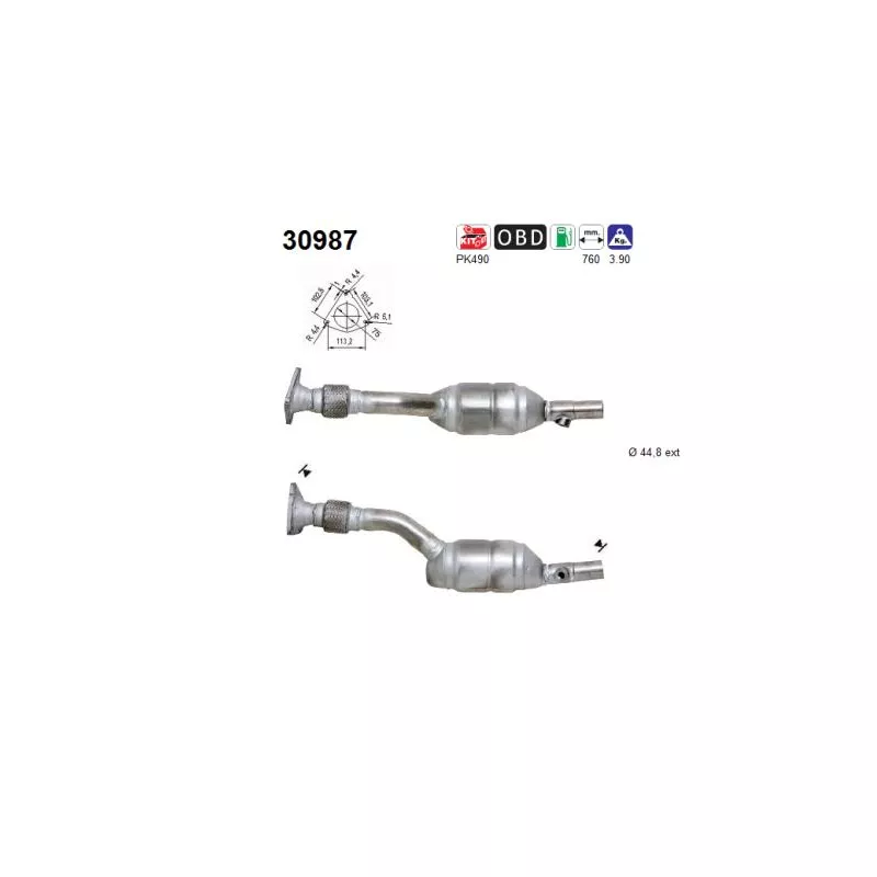 Catalyseur AS 30987