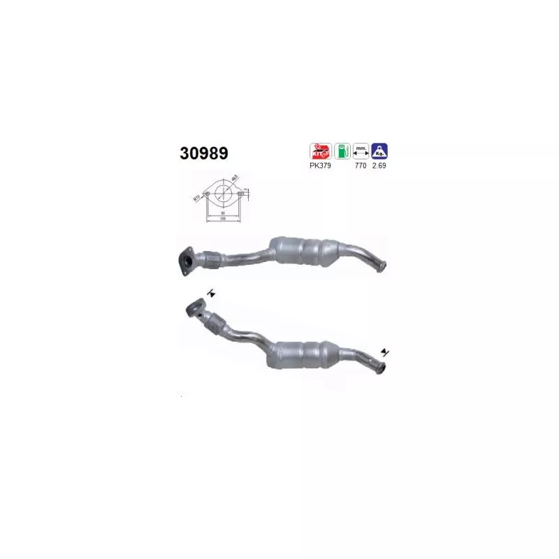 Catalyseur AS 30989