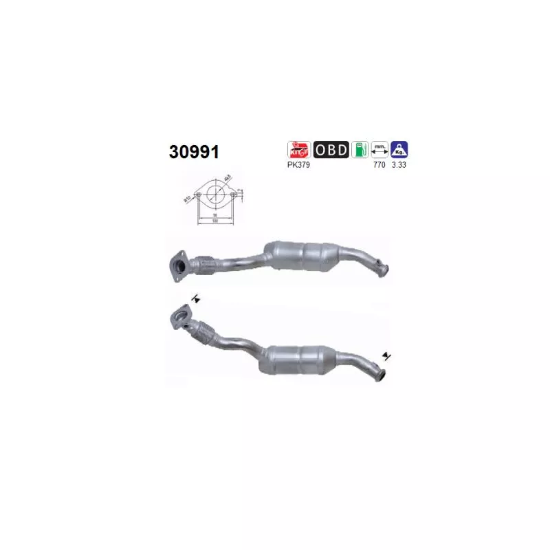 Catalyseur AS 30991