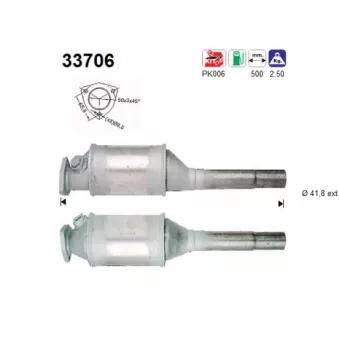 Catalyseur AS 33706