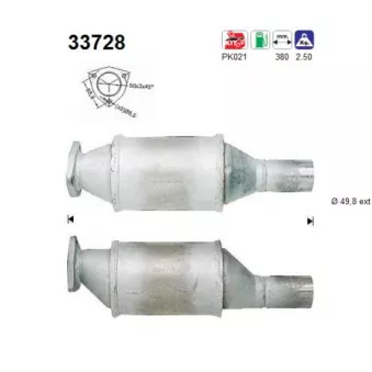 Catalyseur AS 33728