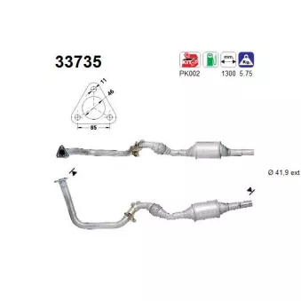 Catalyseur AS 33735
