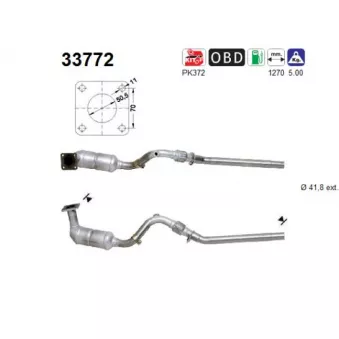 Catalyseur AS 33772