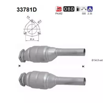 Catalyseur AS 33781D