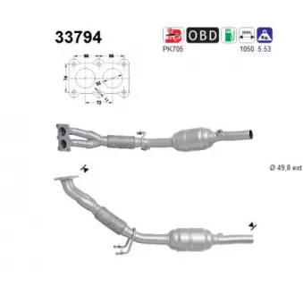 Catalyseur AS 33794
