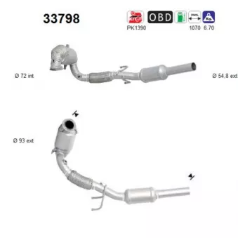 Catalyseur AS 33798