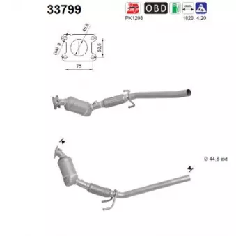Catalyseur AS 33799