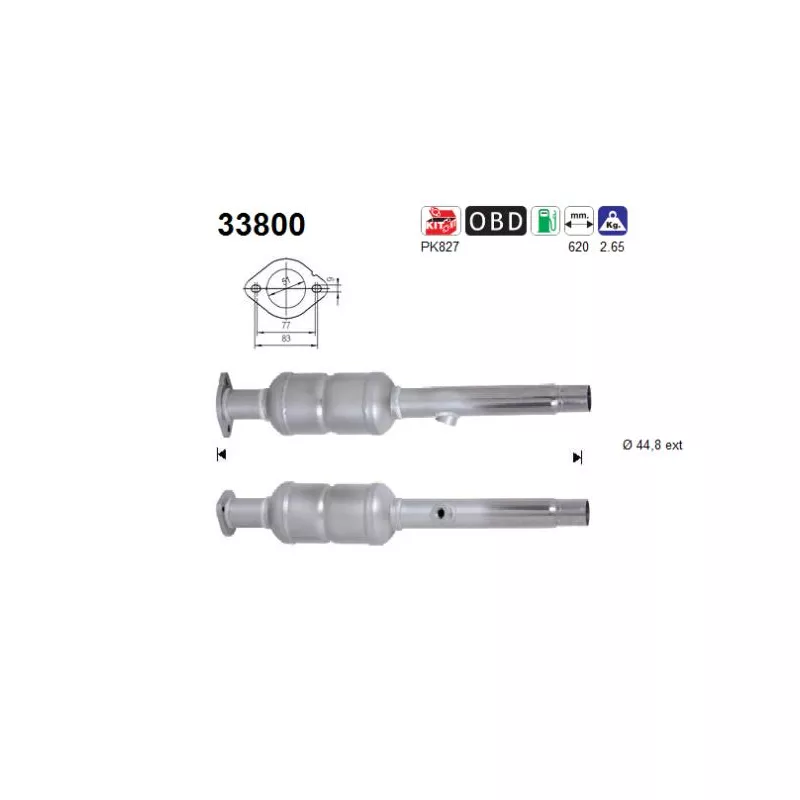 Catalyseur AS 33800
