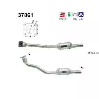 Catalyseur AS 37861