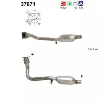 Catalyseur AS 37871