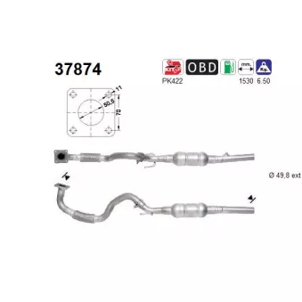 Catalyseur AS 37874