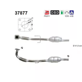 Catalyseur AS 37877