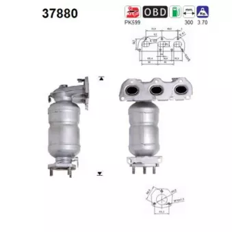 Catalyseur AS 37880