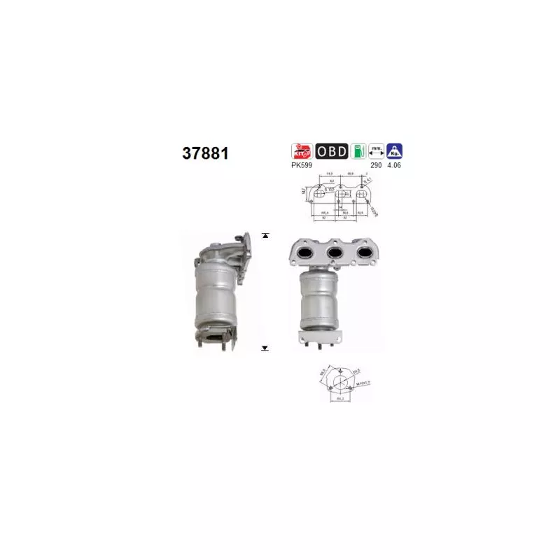 Catalyseur AS 37881