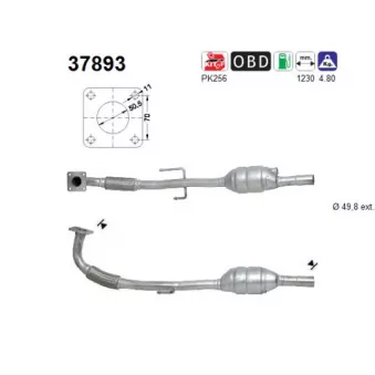Catalyseur AS 37893