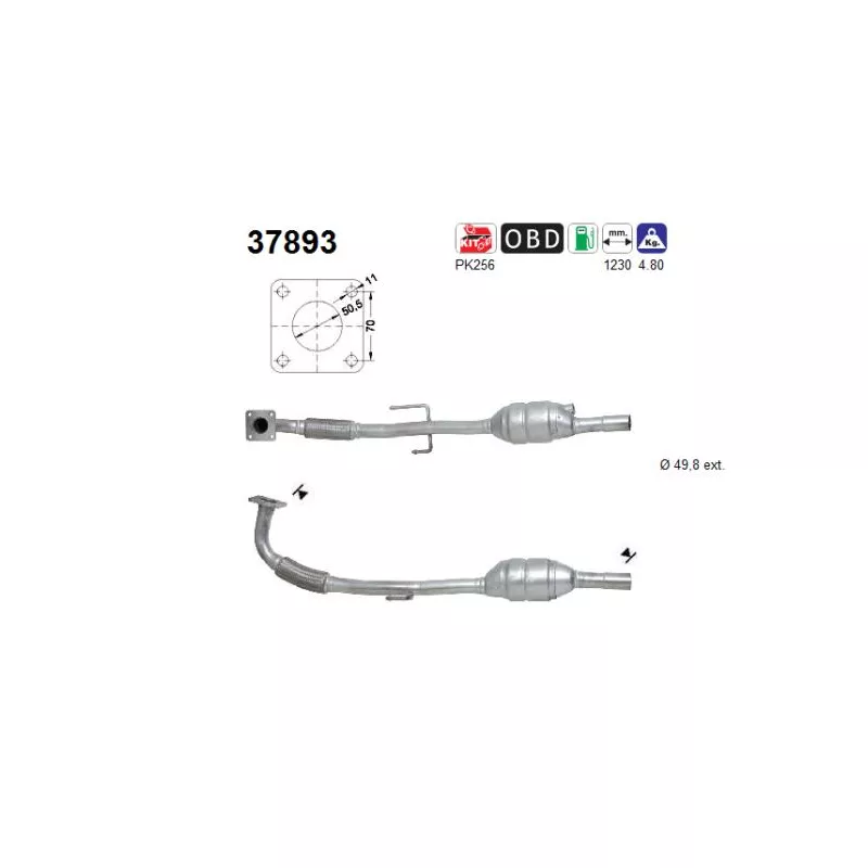Catalyseur AS 37893