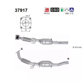 Catalyseur AS 37917