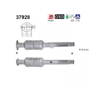 Catalyseur AS 37928