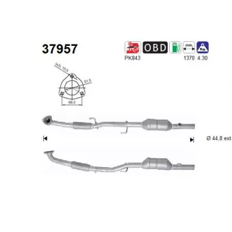 Catalyseur AS 37957