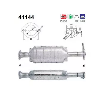 Catalyseur AS 41144