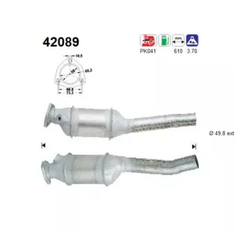 Catalyseur AS 42089