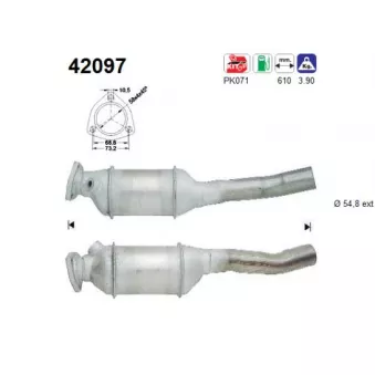 Catalyseur AS 42097