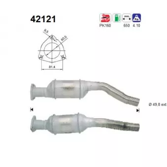 Catalyseur AS 42121