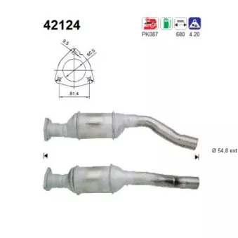 Catalyseur AS 42124