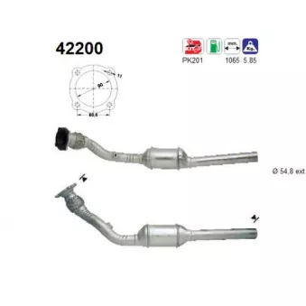 Catalyseur AS 42200