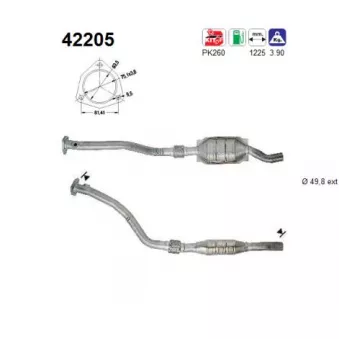 Catalyseur AS 42205
