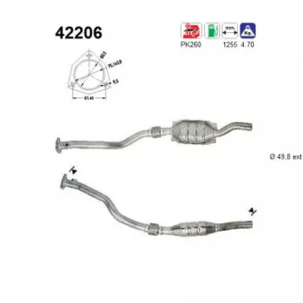 Catalyseur AS 42206