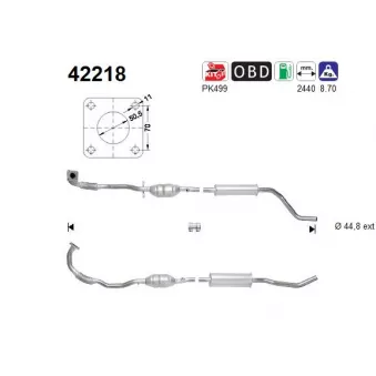 Catalyseur AS 42218