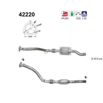 Catalyseur AS 42220