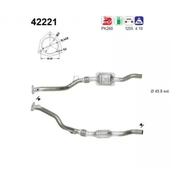 Catalyseur AS 42221