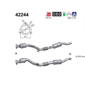 Catalyseur AS 42244