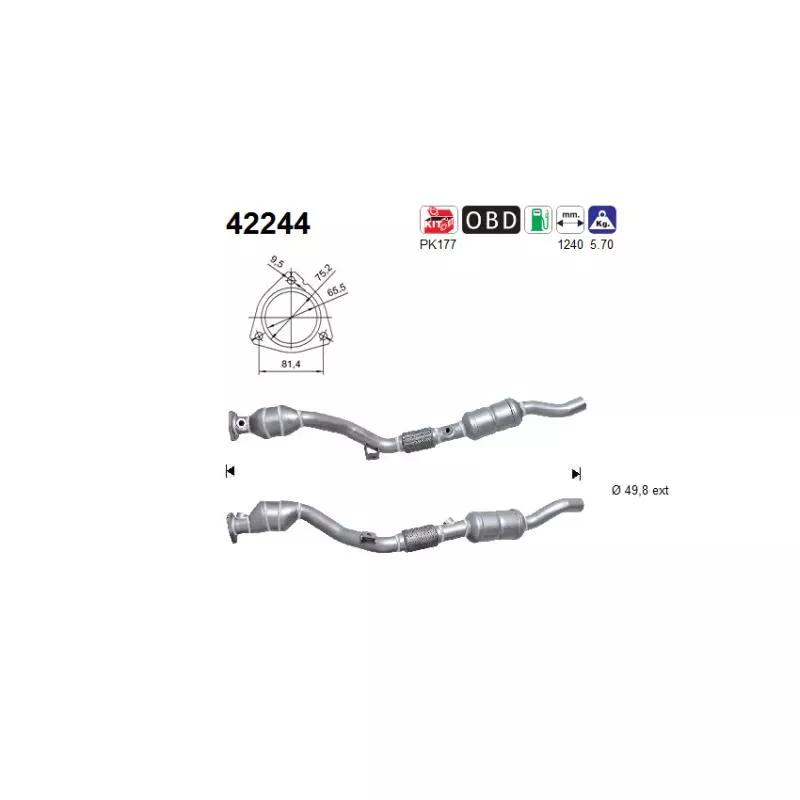 Catalyseur AS 42244