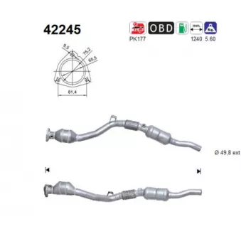 Catalyseur AS 42245
