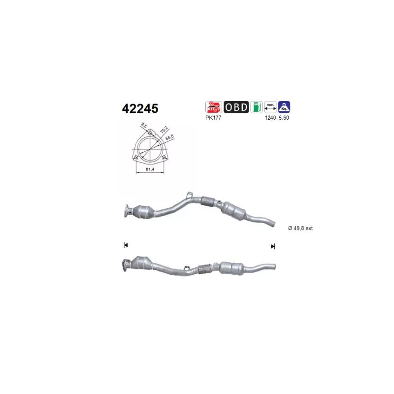 Catalyseur AS 42245