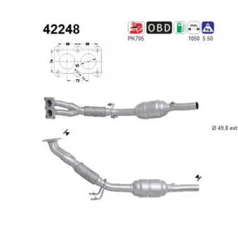 Catalyseur AS 42248