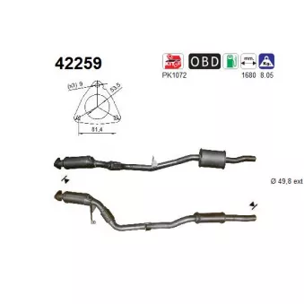 Catalyseur AS 42259