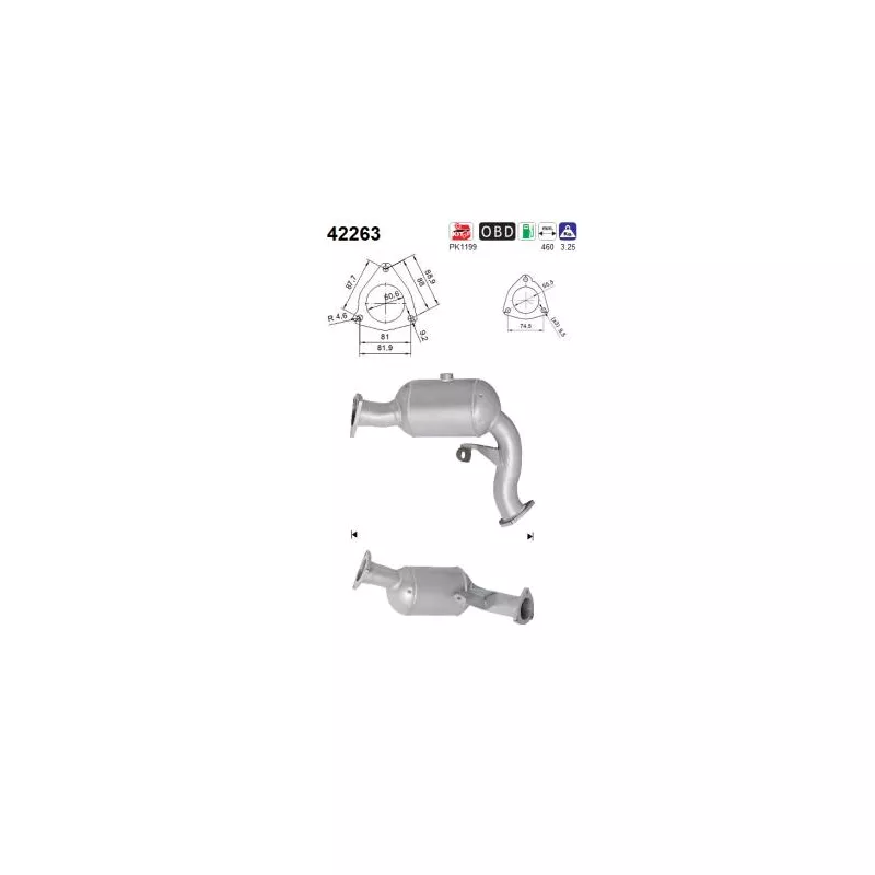 Catalyseur AS 42263