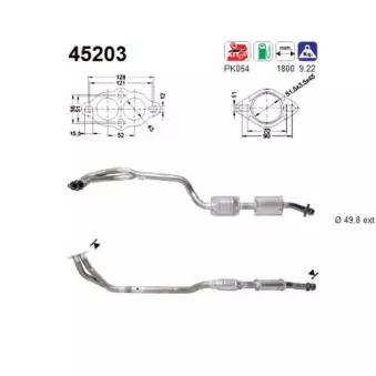 Catalyseur AS 45203