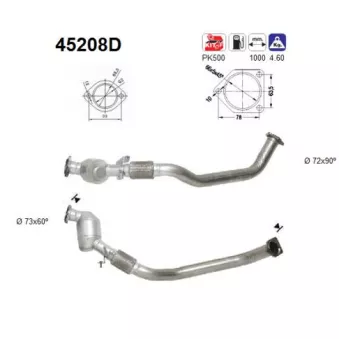 Catalyseur AS 45208D