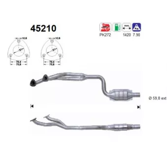 Catalyseur AS 45210