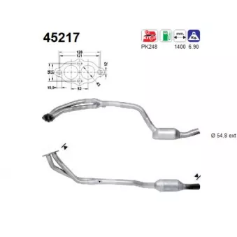 Catalyseur AS 45217